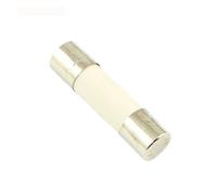 Ceramic Household Mains Fuse, 100pcs Fast Blow 5 x 20 mm250V F 0.1A 0.2A 0.3A 0.5A 1A 2A 2.5A 3A 3.15A 4A 5A 6A 7A 8A 10A 12A 15A 20A 25A 30A(2A)