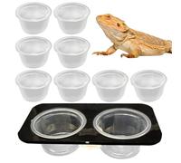 Ceramic lizard water bowl, lizard food destruction water bowl, crested food feeder, lizard water bowl, removable space-saving tank accessories with cups, feeding bowl for gecko
