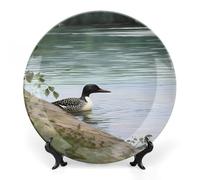 Ceramic Loon Nature Birds Decorative Plate for Wall Hanging 8inch Large Bone China Dinner Plates with Display Stand Porcelain Art Dish for Home Kitchen Office Wedding Gift Farmhouse Decor
