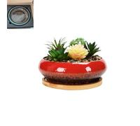 Ceramic Lotus Planter Bowl - Hydroponic Growing Kit for Indoor Water Plants, No Drainage Pot for Flower Seeds & Aquatic Gardening