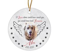 Ceramic Ornament 7.3CM, You Would Have Lived Forever Ceramic Hanging Keepsake Christmas Tree Decoration Personalised Ceramics Xmas Ornament For Holiday Party Family