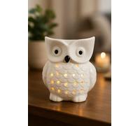 Ceramic Owl Oil Burner Wax Melt Warmer - White Glazed Aromatherapy Diffuser for Essential Oils and Wax Melts - Cute Owl Design, Ideal for Home Décor and Gifts