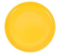 Ceramic PET Feeding Bowl for Kittens, Shallow round Dish | Anti Skid Base, Reduced Whisker Stress, Large Capacity, Indoor Home Use, Bright Contemporary Finish