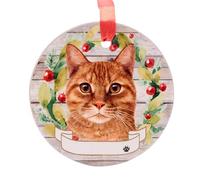 Ceramic Pet hanging Christmas tree decoration or memorial, animal image with space to write own name (supplied blank), attached ribbon hanger, 9cm diameter (Ginger Cat)