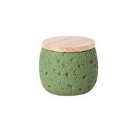 Ceramic Pet Urn Dust-proof Dog Ashes Box with Bamboo Cover, Handcrafted Dog Memorial Gifts Ashes Urn for Small Animals(Green)