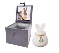 Ceramic Pet Urn for Ashes, Bunny Urn Handicrafted Ashes Keepsake Memorial Gift, Ashes Holder with Photo Display Box for Rabbit Small Pets (Matte White, S Size, Rabbit)