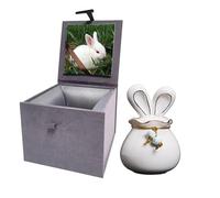 Ceramic Pet Urn for Ashes, Rabbit Urn Handicrafted Ashes Keepsake Memorial Gift, Ashes Holder with Photo Display Box for Small Pets (White, S Size, Rabbit)