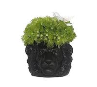 Ceramic Plant Pot Lion Head Plant Pot Creative Cartoon Animal Flower Pot Succulent Cactus Potted Planter Ashtray Green Plants Balcony Home Decoration (Color : Black)