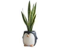 Ceramic Plant Pot Set - Cute Animal Plant Pots Indoor and Outdoor Garden Decor - Penguin Succulent Pots and Flower Pots for House Plants, Herbs, Cactus - Whimsical Planters for Windows (12cm x 12 cm)
