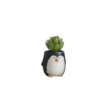 Ceramic Plant Pot Set - Cute Animal Plant Pots Indoor and Outdoor Garden Decor - Penguin Succulent Pots and Flower Pots for House Plants, Herbs, Cactus - Whimsical Planters for Windows (10 cm x 10 cm)
