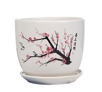 Ceramic Plant Pots & Indoor and Outdoor Plant Pots Chinese Style Plum Blossom Pattern Ceramic Flower Pots Succulent Plant Pots & Bonsai Pots for Office, Desk, Indoor Tabl,D 17CM ()