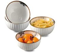 Ceramic Porcelain Soup Bowls with Lid Cereal Bowls Set, Breakfast Bowls, Soup Bowls, Rice Bowl Microwave Safe-White,Set of 4, FK2BCF222CRR229