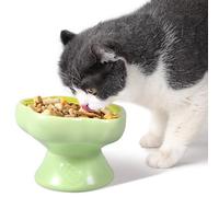 Ceramic Raised Cat Bowl, 230ml Tilted 15° Elevated Cat Feeding Bowls, Anti Vomiting Shallow Pet Food Water Bowl for Pets Dry Wet Food, Microwave and Dishwasher Safe(green)