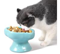 Ceramic Raised Cat Bowl, 230ml Tilted 15° Elevated Cat Feeding Bowls, Anti Vomiting Shallow Pet Food Water Bowl for Pets Dry Wet Food, Microwave and Dishwasher Safe(blue)