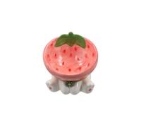 Ceramic Raised Cat Bowl, Fruit Shape Elevated Cat Feeder Drinker, Puppy Kitten Protection Food Bowl Container for Pet Supplies(Strawberry)