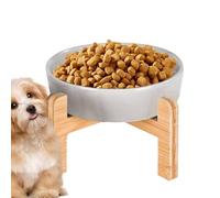 Ceramic Raised Cat Bowl, Spill Proof Slow Feeder Pet Bowl, 10x10x12cm, Anti-Slip Dog Food Container, Elevated Feeding Supplies for Indoor Cats, Dogs, Easy to Clean