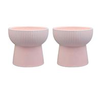 Ceramic Raised Elevated Bowl Pet Cats Dogs Food Water Dish Stress Free Dispenser Automatic Pet Feeder Wet Food Voice