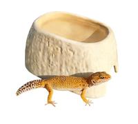 Ceramic Reptile Cave - Double Shelter And Feeding Bowl, Spider Cave Design, Integrated Drinking Station | Durable Creatives Modern Design Terrarium Tank Accessories For Geckos Hoses