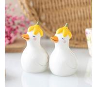Ceramic Salt & Pepper Cruet Shaker Pot Pots Shakers Kitchen Cooking Fox Frog NEW