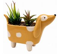 Ceramic Sausage Dog Plant Pot Hand-Painted Spotted Dachshund Planter By Heaven Sends