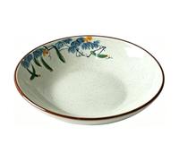 Ceramic Serving Dish, Ceramic Pasta Plates Reusable Dinner Plates | For Camping Outdoor or Every Day Use - Microwave & Dishwasher Safe(B)
