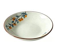 Ceramic Serving Dish, Ceramic Pasta Plates Reusable Dinner Plates | For Camping Outdoor or Every Day Use - Microwave & Dishwasher Safe(D)