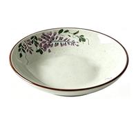 Ceramic Serving Dish, Ceramic Pasta Plates Reusable Dinner Plates | For Camping Outdoor or Every Day Use - Microwave & Dishwasher Safe(C)