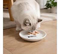 Ceramic Shallow Cat Food Bowl, 5.9in Non-Slip Feeding Dish with Fish Bone Pattern, White Cat Plate for Wet Food & Treats