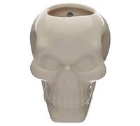 Ceramic Skull Garden Wall Planter