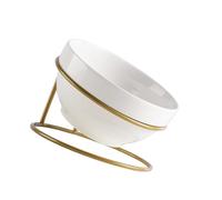 Ceramic Slant Pet Feeder Bowl with Iron Rack Raised