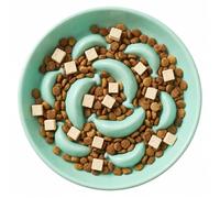 Ceramic Slow Feeder Cat Bowl, 6.3'' Wide Whisker Friendly Cat Puzzle Feeder | Slow Eating 5x, Anti Vomit Shallow Slow Eating Cat Dish for Dry and Wet Food, Microwave and Dishwasher Safe, 6.3" X 1.2"