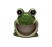 Ceramic Sponge/Scrubbie Holder (Frog)