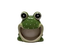 Ceramic Sponge/Scrubbie Holder (Frog)