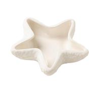 Ceramic Star Shape Jewelry Dish Starfish Shape Jewelry Tray Ring Holder Ocean Style Earrings Necklace Storage Dish Decorative Key Bowl Star Ashtray Star Key Dish Trinket Tray Soap Dish (White)