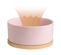 Ceramic Thermal Pet Water Bowl - USB Powered Self Heating Water Feeder, Large Capacity Multifunction Heating Dish, Constant Warm Dispenser | Cat Dog Bird Indoor Outdoor Feeding Solution