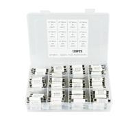 Ceramic Tube Fuses, 120pcs 12 Values Assorted Kit 10x38mm 500V 1A 2A 3A 4A 5A 6A 8A 10A 16A 20A 25A 32A Tube Fuses with Plastic Box