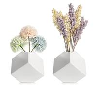 Ceramic Vase for Pampas Grass - Vases Set White Flower Vases as Modern Living Room Boho Decoration Vase White Matte