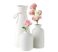 Ceramic Vase Set of 3 Dried Flowers Ceramic Vases Decorative Flowers Vase Rustic Farmhouse Style Mini Decor Vases for Pampas Grass Home Table Centrepieces (White)