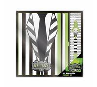 Cerdá- Beetlejuice Ballpoint Pen Stationery Set 22.0 X 22.0 X 2.5 Cm (2700001201)