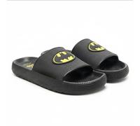 Cerda Dc Comics Batman Slides