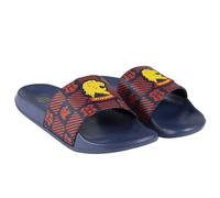 CERDÁ LIFE'S LITTLE MOMENTS 2300004762_T039-C65, Harry Potter Official Licensed Warner Bros Men's Summer Flip-Flops, Multicoloured, 39 EU