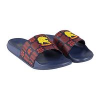 CERDÁ LIFE'S LITTLE MOMENTS 2300004762_T039-C65, Harry Potter Official Licensed Warner Bros Men's Summer Flip-Flops, Multicoloured, 39 EU