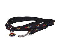 CERDÁ LIFE'S LITTLE MOMENTS - For Fan Pets | Disney Pride Dog Leash - Official Disney® Licensed