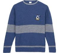 Cerda Group Harry Potter Sweater Blue XL Kids