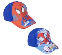 Hat or Spidey Blue - 51 cm | Child Cerdà
