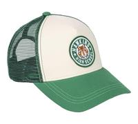 CERDÁ LIFE'S LITTLE MOMENTS Stranger Things Beanie with Curved Visor for Adults Cap, Green, One Size