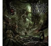 Cerebral Effusion - Ominous Flesh Discipline