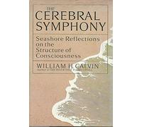 Cerebral Symphony: Seashore Reflections on the Structure of Consciousness