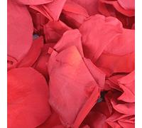 Ceremony Flower Petals Preserved Flower petals Ashes ceremony (Red Rose)