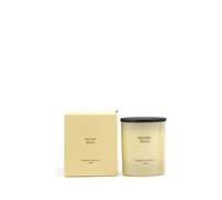 Cereria Mollá 1899 Velvet Wood Scented Candle Scented